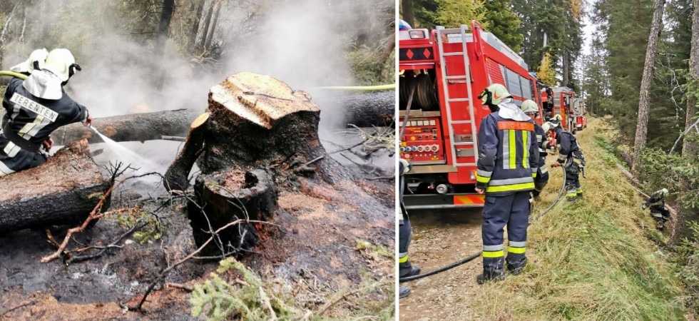 Fiamme in una zona impervia del bosco, vigili del fuoco in azione