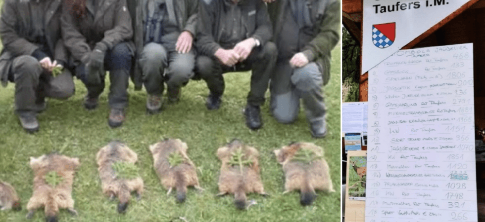 Marmotte uccise diventano premi della lotteria organizzata dai cacciatori?