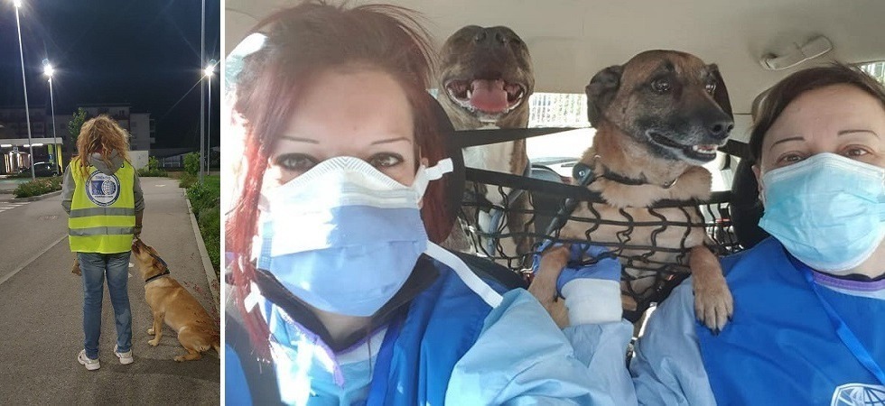 Si sono occupati degli animali domestici durante il Covid ma per l’Oipa niente contributi