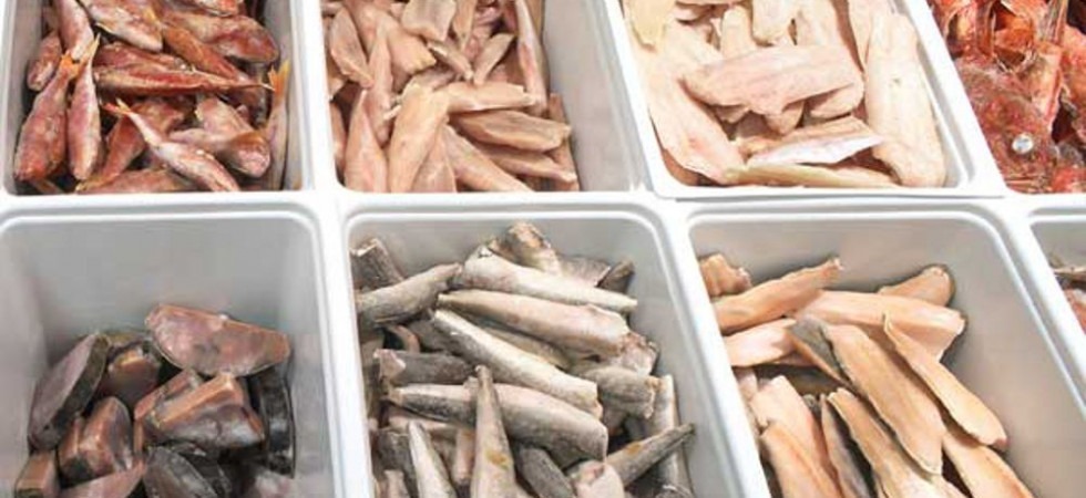 Seicento chili di pesce scaduto e 50 di prodotto non tracciabile sequestrati in Trentino