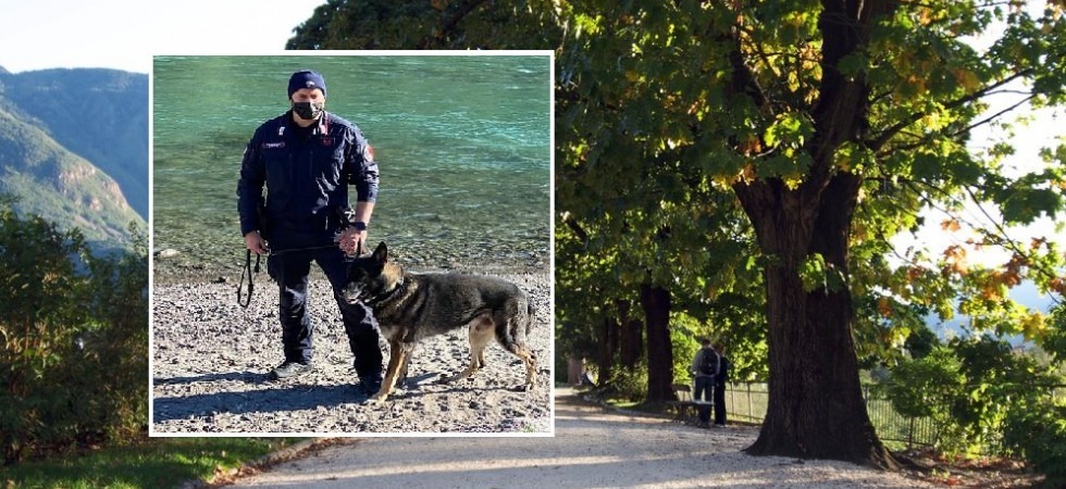 Droga nascosta tra muretti e siepi, maxi retata lungo il Talvera