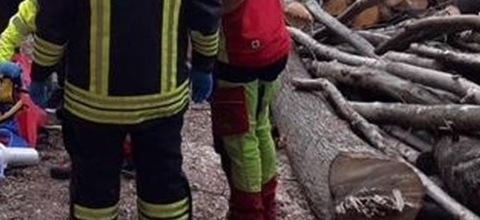 Foto d'archivio Grave incidente nel bosco, un uomo travolto e schiacciato da un tronco