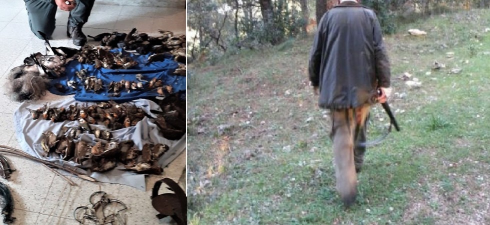 Trappole e reti per imprigionare gli animali, scovato un bracconiere 70enne