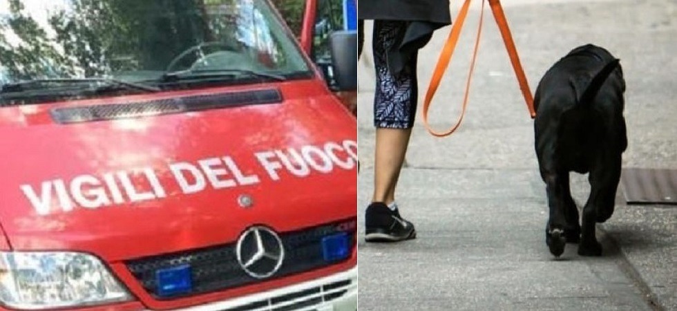 Morsi da un cane lasciato libero mentre cercano di difendere il loro: intervengono i vigili del fuoco