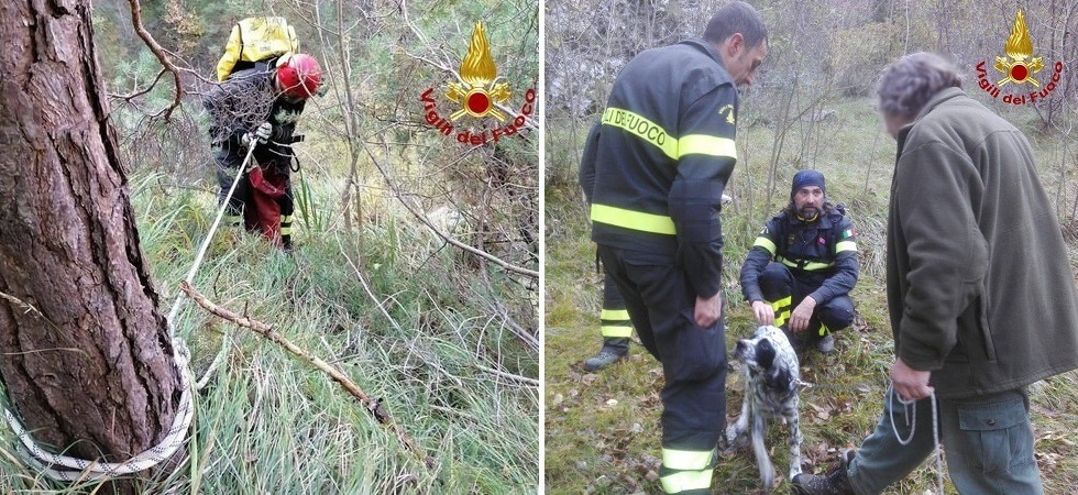 Giada scivola in un burrone e non riesce più a uscire, momenti di paura per la cucciola di setter di un cacciatore
