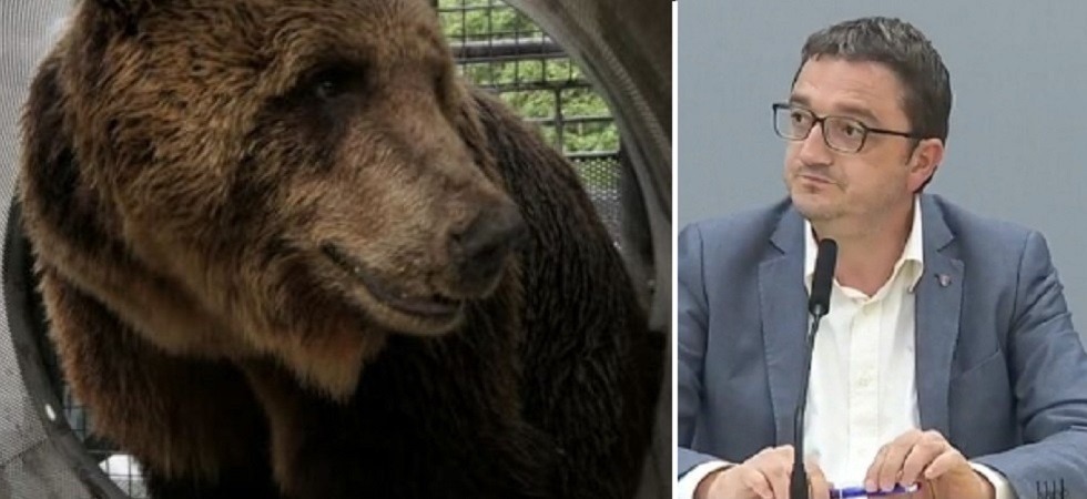 Orso M57, Fugatti: Prendiamo atto con stupore della sentenza del Consiglio di Stato