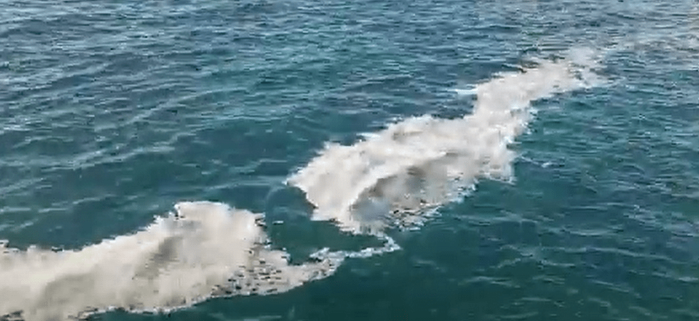 Lunghe scie di schiuma nel lago di Garda, il Wwf: “Molte segnalazioni di recente, prima non si erano mai viste”