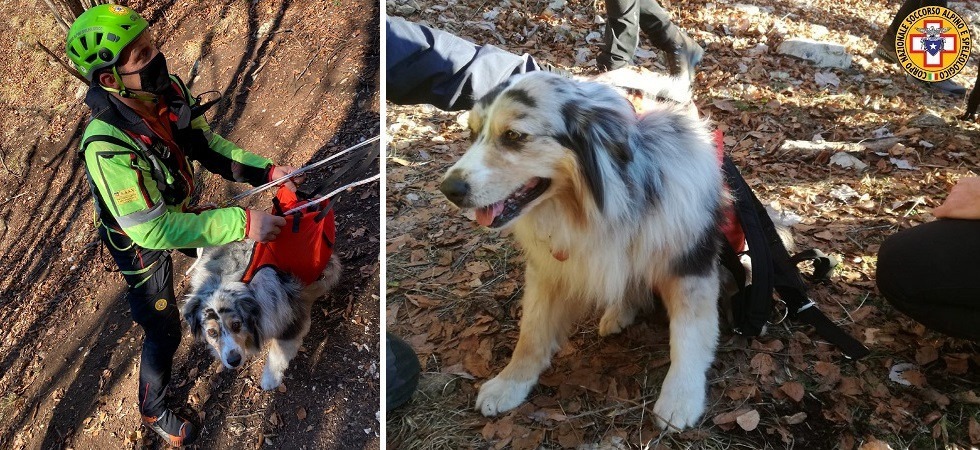 La sentono guaire in fondo a un burrone, Ula salvata dal soccorso alpino