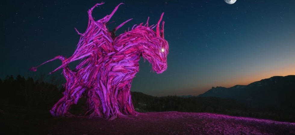 Il Drago Vaia si tinge di rosa per celebrare il Giro d'Italia: nel 2022 una tappa anche a Lavarone