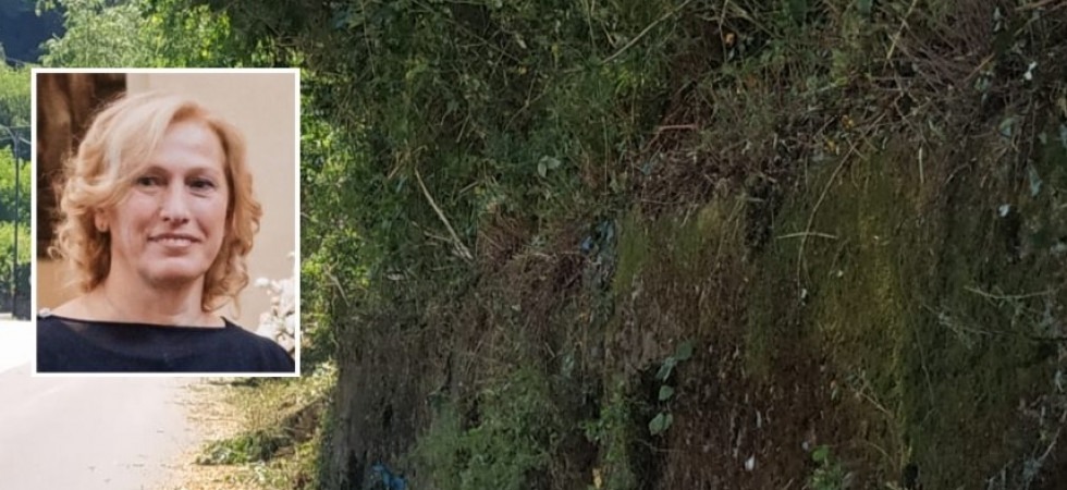 Scivola e sbatte la testa mentre aiuta nel taglio delle piante
