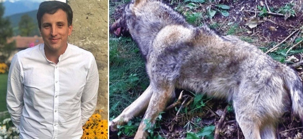 Presenza dei lupi a Mori, Moiola (Patt): “Parlare di abbattimenti è pura demagogia