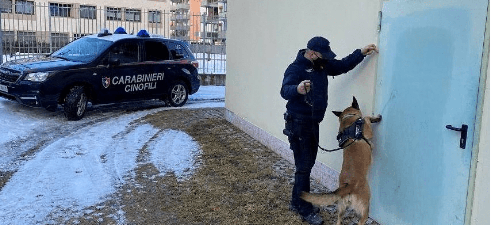 Un bazar dello spaccio in casa di un insospettabile 23enne