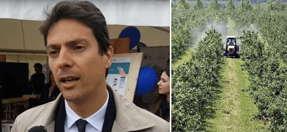 Caro energia e costi per la produzione alimentare, Zeni: “No a finanziamenti una tantum, pianificare interventi e sostegni