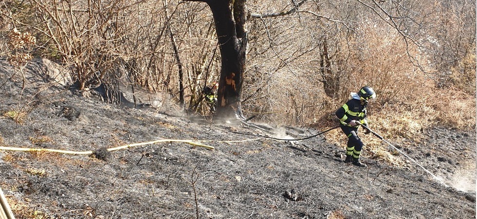 Brucia il bosco in val dei Mocheni, ennesimo intervento dei vigili del fuoco per spegnere un rogo
