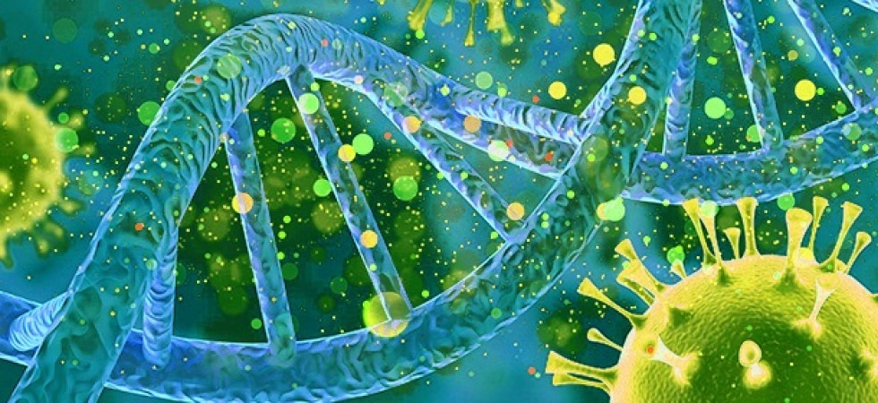 Covid, variante Omicron 2'' rilevata in Veneto: è la più contagiosa