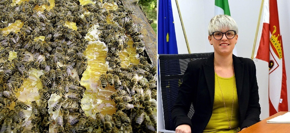 Trecentomila euro per aiutare le api e il loro miele