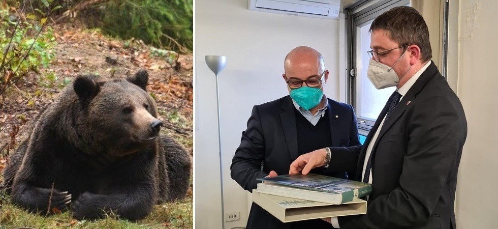 Grandi carnivori, Fugatti torna a chiedere a Roma una “nuova gestione dei lupi”