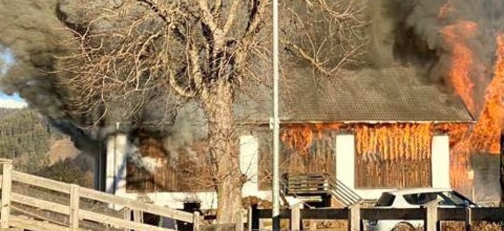 Le fiamme avvolgono un fienile, l'intervento per portare in salvo gli animali