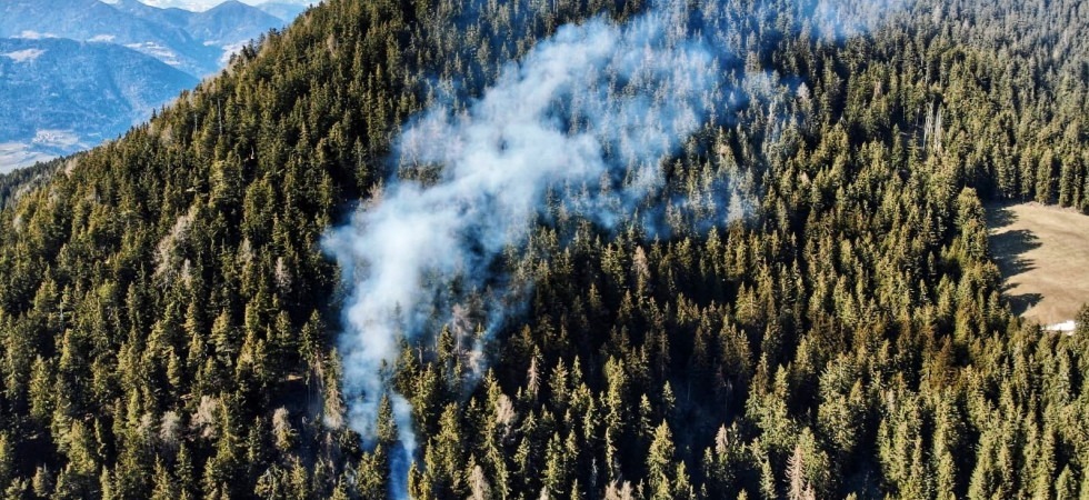 Siccità estrema, brucia il bosco sulla Plose