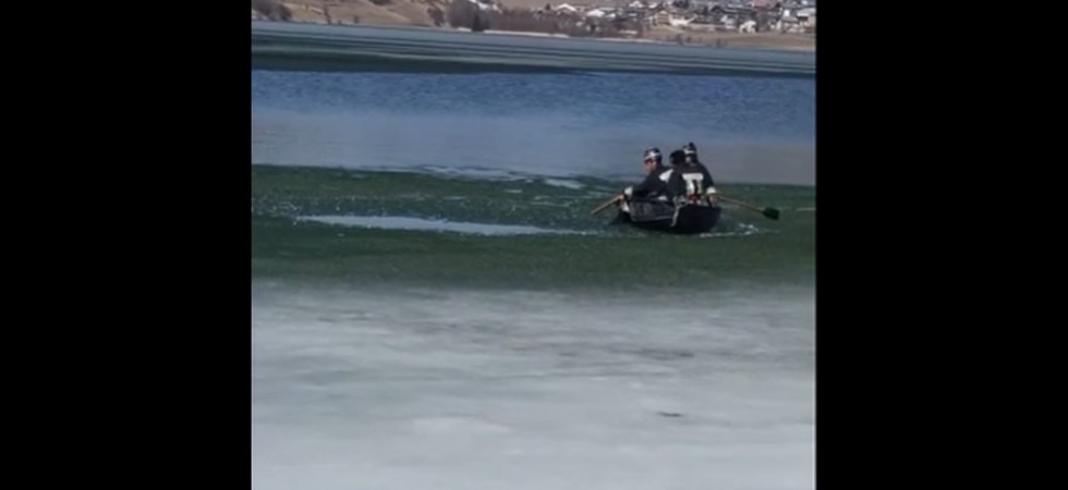 Il cane sprofonda in un lago ghiacciato, l'intervento dei vigili del fuoco per portarlo in salvo