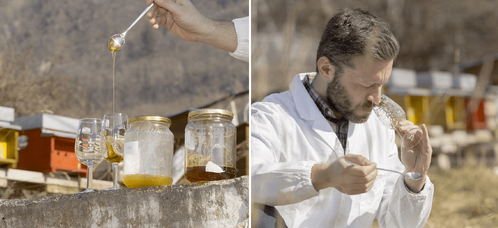 Il Miele millefiori trentino e la sua ampia variabilità sensoriale