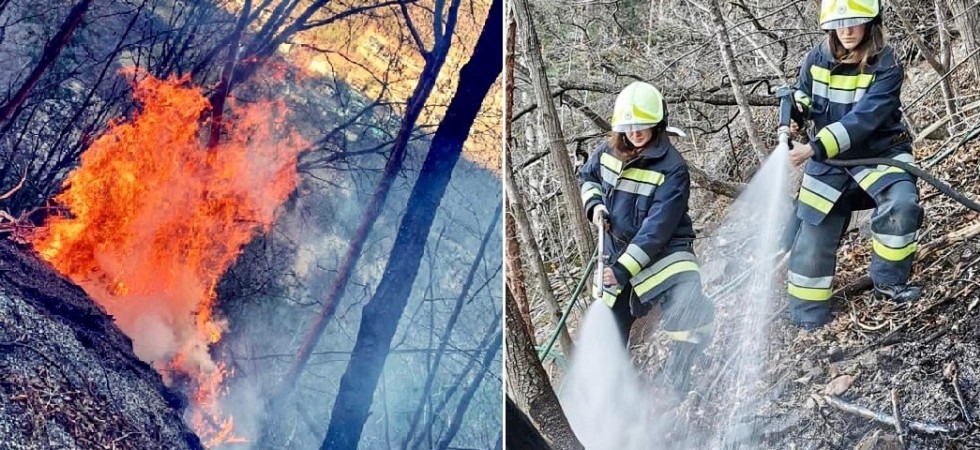 Una colonna di fumo e le fiamme, incendio nel bosco a Campegno