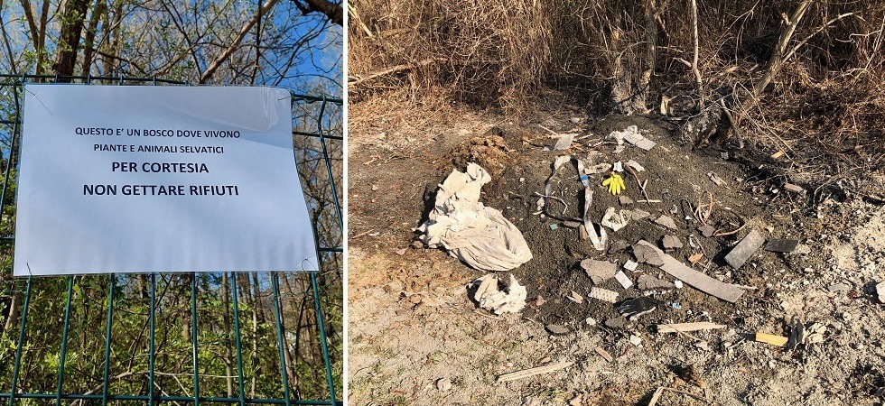 L’ultimo bosco ripariale della Valle d’Isarco “assediato” dai rifiuti