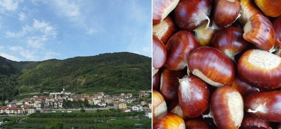 Sardagna vuole tutelare le sue castagne con la certificazione di origine comunale