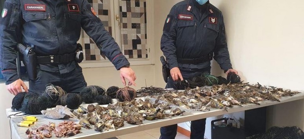 Uccelli proibiti nel congelatore, nei guai un 19enne: rischia 4 anni di carcere e 3 mila euro di multa