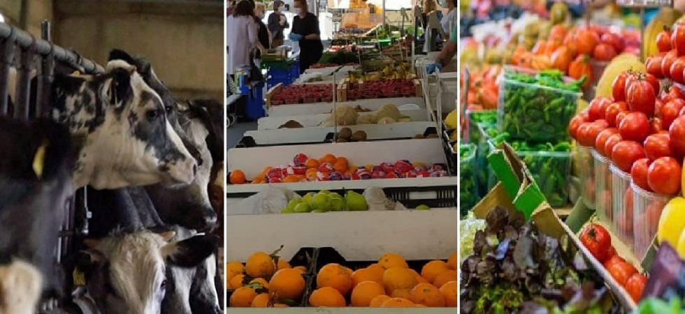 Aumentano i prezzi, da un +7,8% per la frutta al +12% per la verdura e nelle stalle è crisi