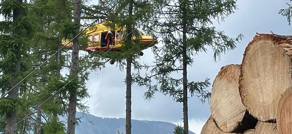Incidente nei boschi trentini, l'albero cade e schiaccia un operaio di 29 anni