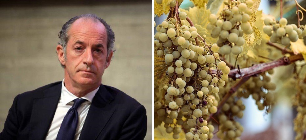 Zaia contro il Prošek croato: “Un nome studiato a tavolino, il nostro Prosecco non può essere imitato”