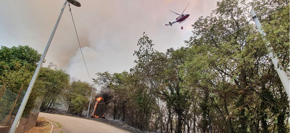 Incendi sul Carso, esplosi tra le fiamme oltre 500 ordigni della prima guerra mondiale