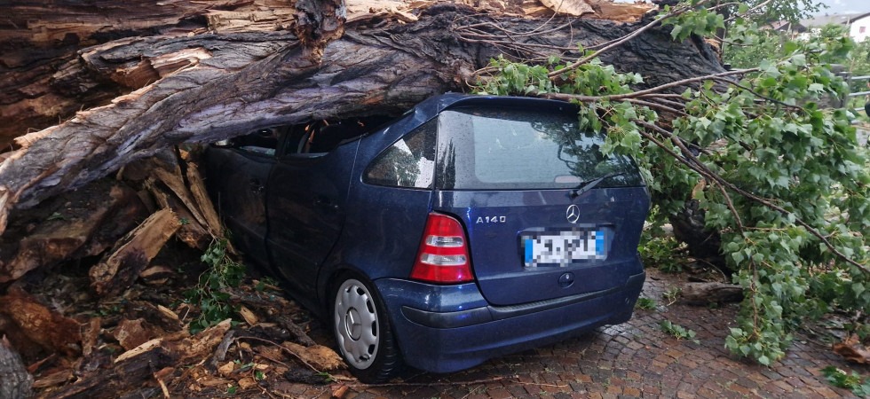 Maltempo in Alto Adige, un albero travolge un'auto mentre la statale in val Venosta viene invasa da una colata di fango e