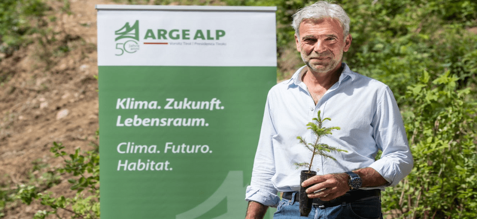 Specie arboree climaresilienti piantate nelle regioni dell'Arge Alp