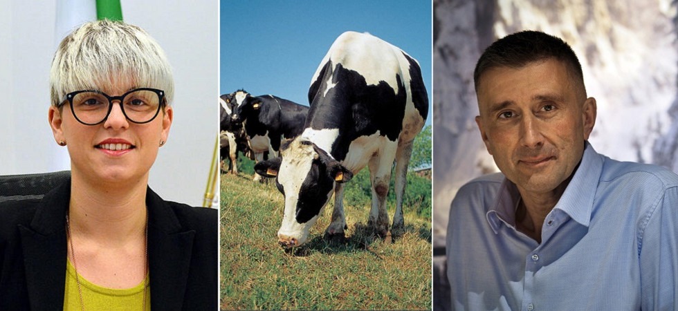 Crisi zootecnia tra costi e siccità, ma per la Pat non ci sono condizioni per chiedere stato di calamità