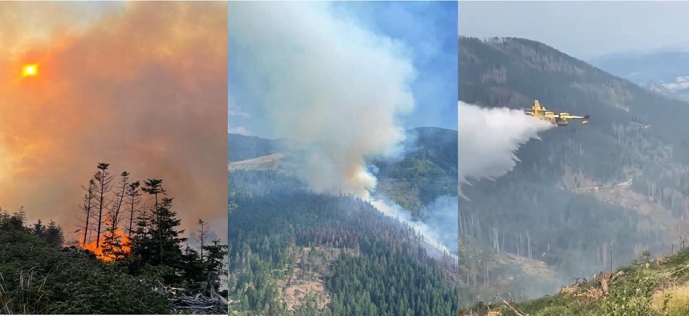 Fiamme in Panarotta, 100 ettari di bosco bruciati