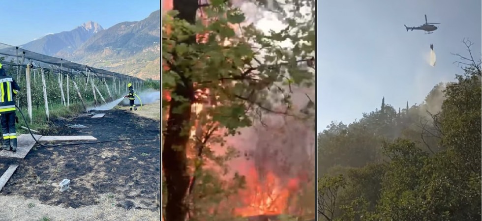 Boschi assediati dalle fiamme, raffica di interventi da parte dei vigili del fuoco