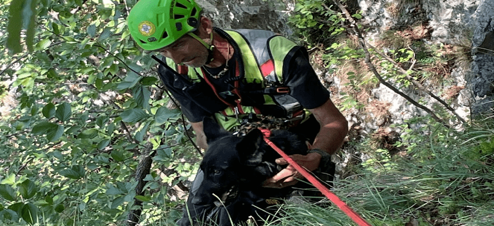 Il cane è libero e segue una traccia rimanendo bloccato sotto il sentiero: necessario l'intervento del soccorso alpino