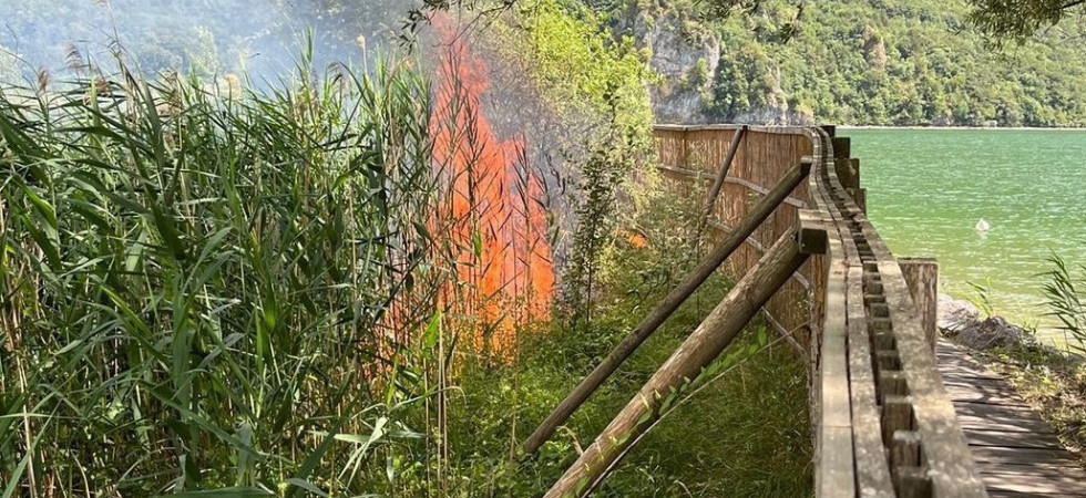 Lago d'Idro, i canneti vengono avvolti dalle fiamme