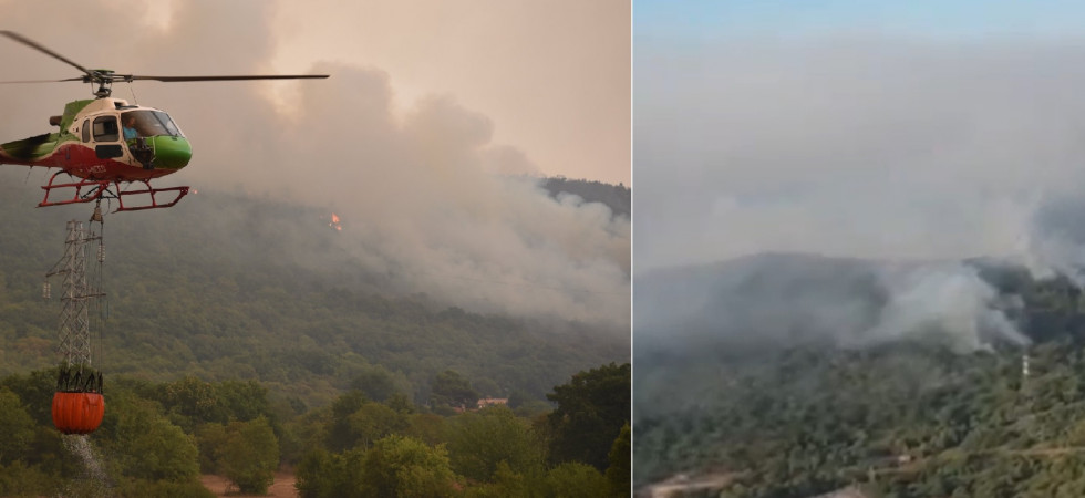 Schiacciata da un albero mentre è impegnata a spegnere un incendio: è morta una volontaria della Protezione civile