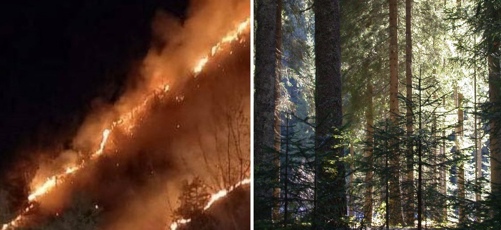 A sx foto d'archivio Allarme incendi, "Quest'estate rischia di essere la più torrida"
