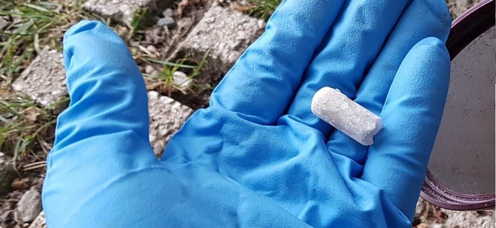 Foto d'archivio Allarme del Comune per sospetti bocconi avvelenati: in corso le analisi in laboratorio