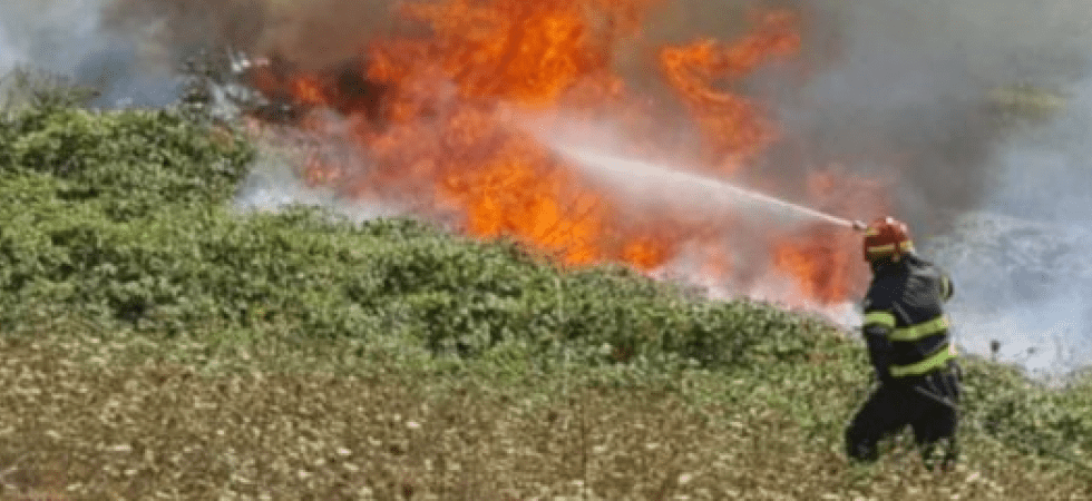 Arrestato il sospetto piromane di molti incendi sopra Bolzano