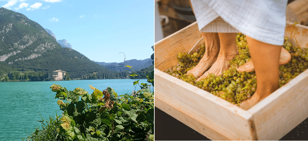 Dalle degustazioni enogastronomiche agli spettacoli d'autore