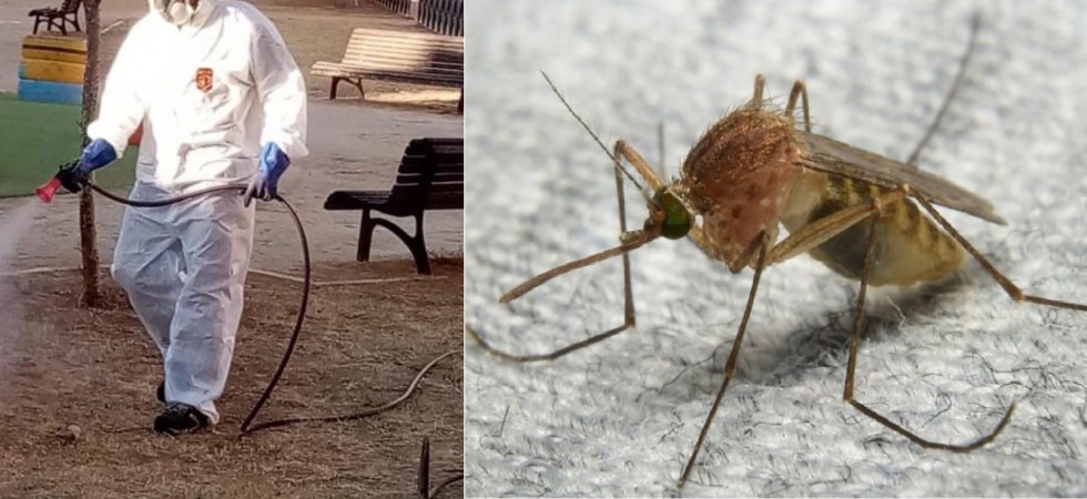 In Veneto è allarme 'West Nile virus'