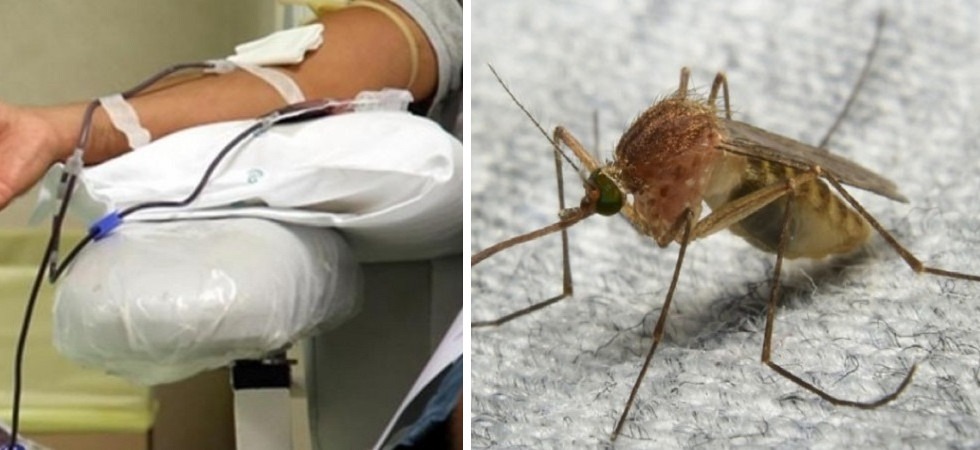 Tre donatori sono risultati positivi al West Nile virus: bloccate le sacche di sangue