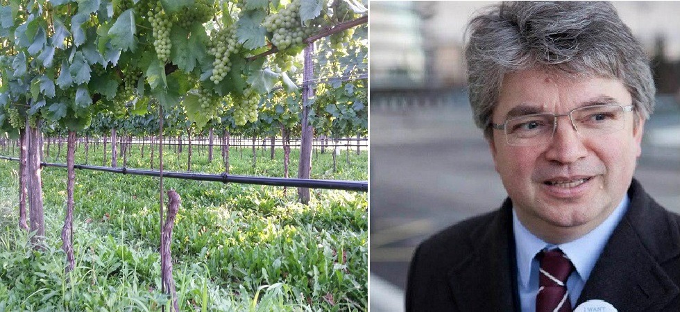 "Fiumi prosciugati nel nome del Prosecco"