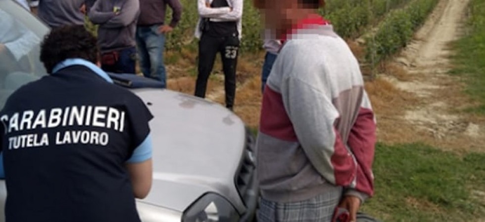 Lavoro nero in un'azienda agricola, trovati 12 dipendenti irregolari e tra questi anche una ragazzina minorenne e due
