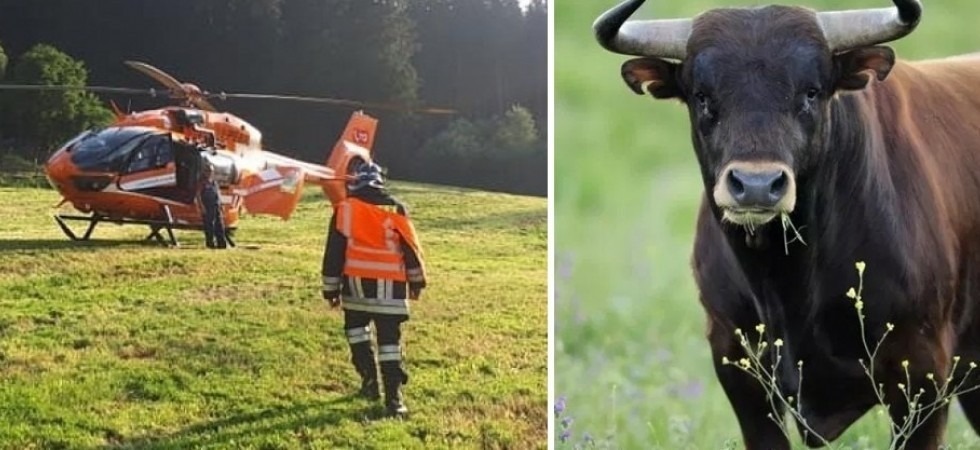 Caricato da un toro e spinto contro delle sbarre di ferro e un muro, in gravi condizioni un contadino di 42 anni
